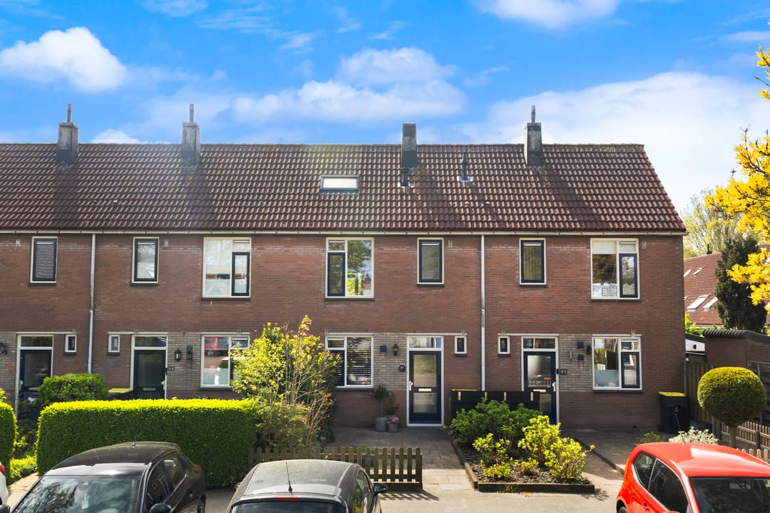 Foto 47 van Scholekster 41