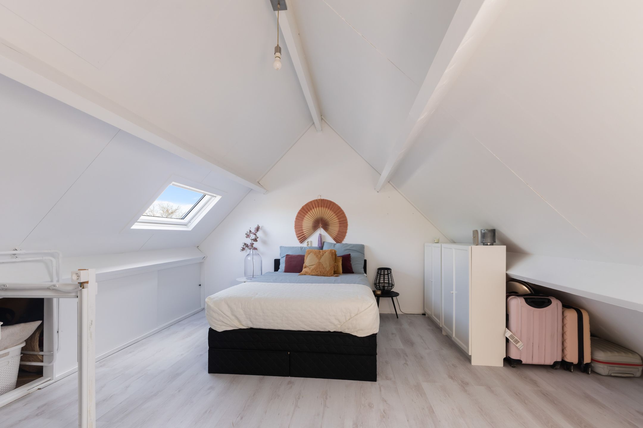 Foto 42 van Scholekster 41