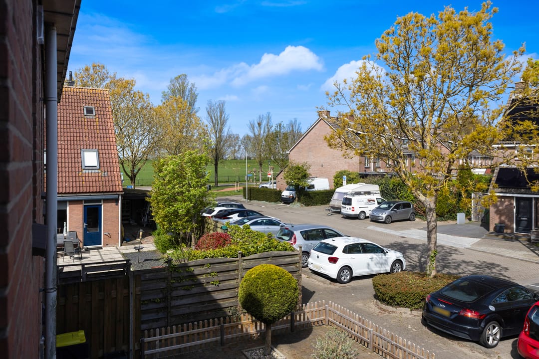 Foto 38 van Scholekster 41