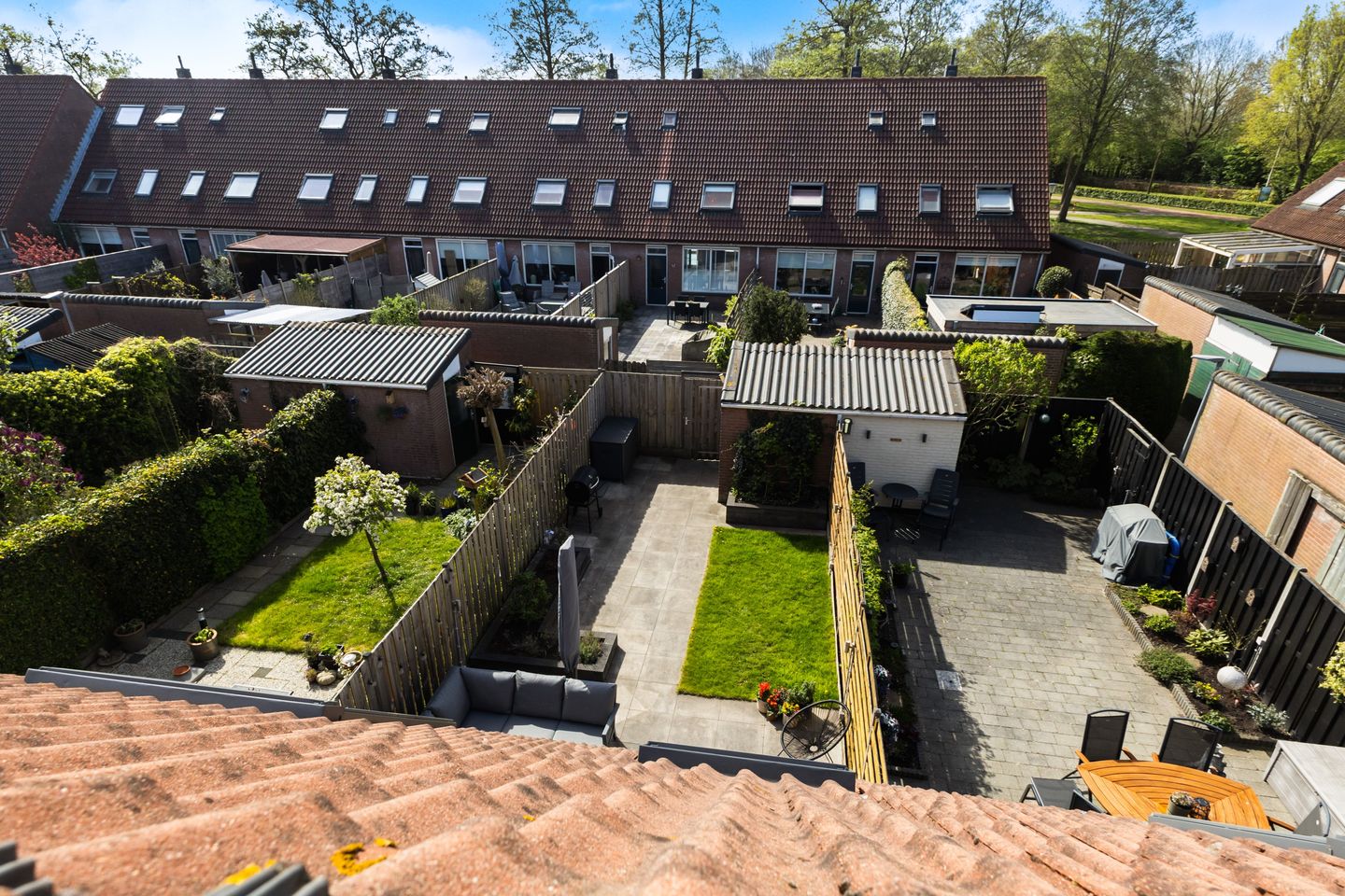 Foto 34 van Scholekster 41