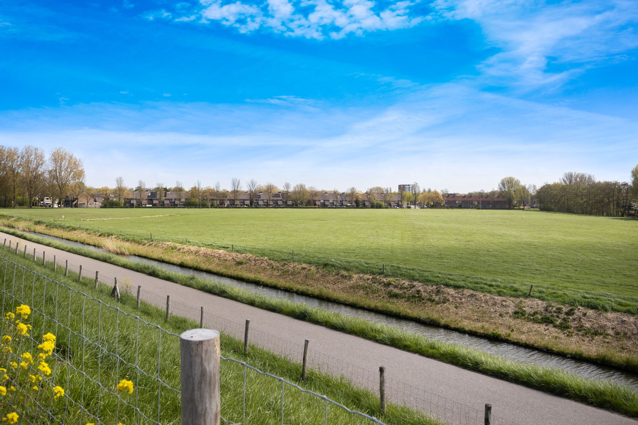 Foto 45 van Scholekster 41