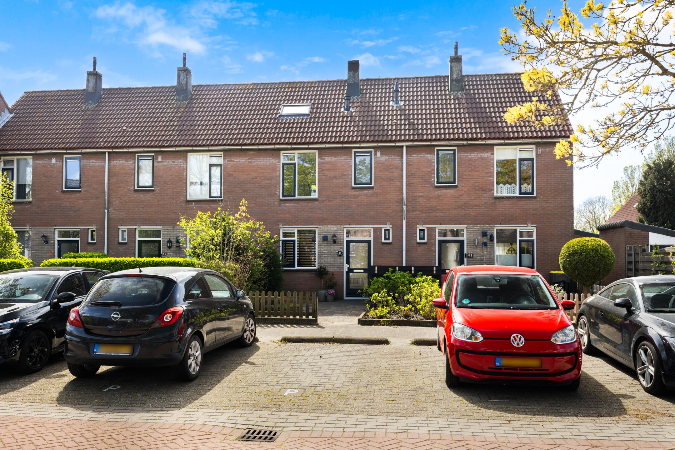 Foto 48 van Scholekster 41