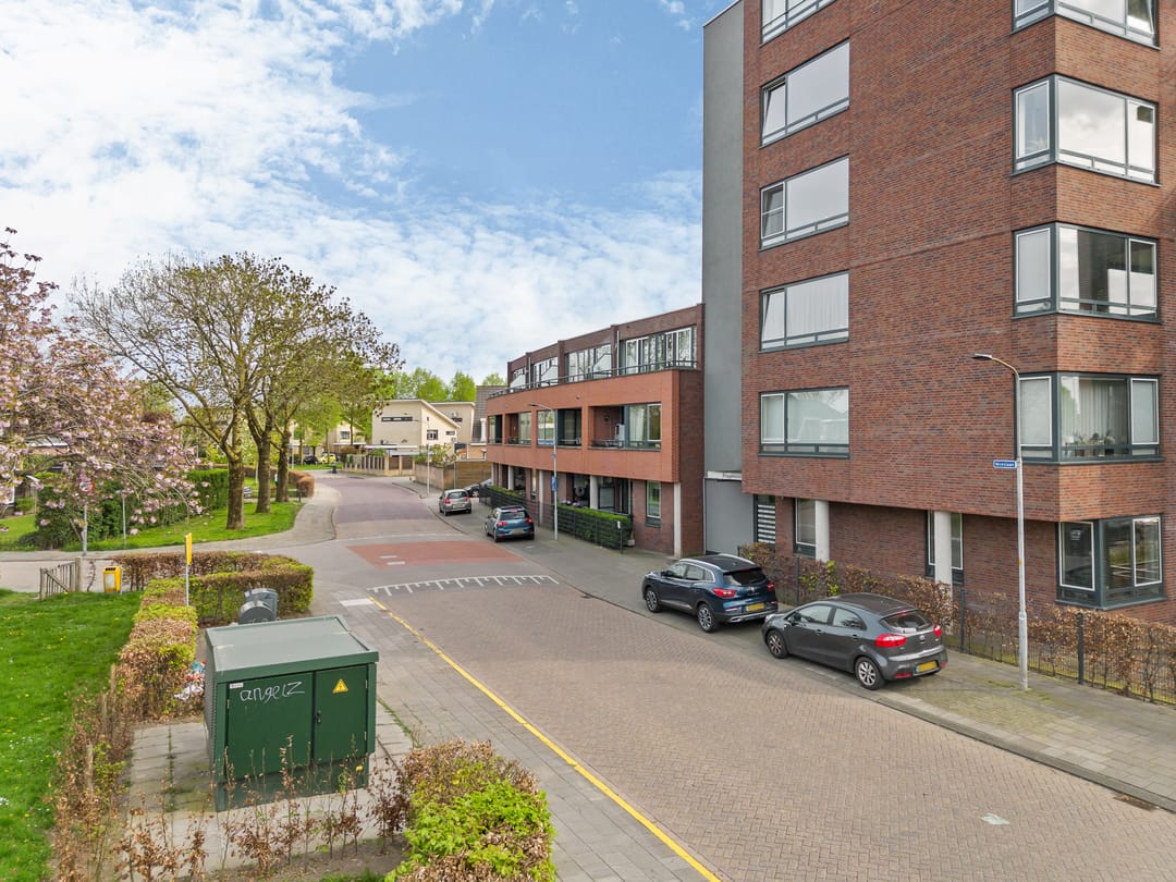 Foto 8 van Meeslaan 2-17