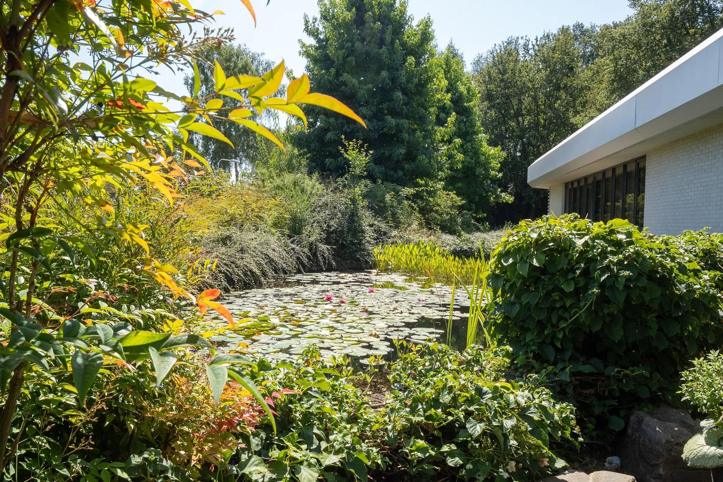 View photo 4 of De Giem 25