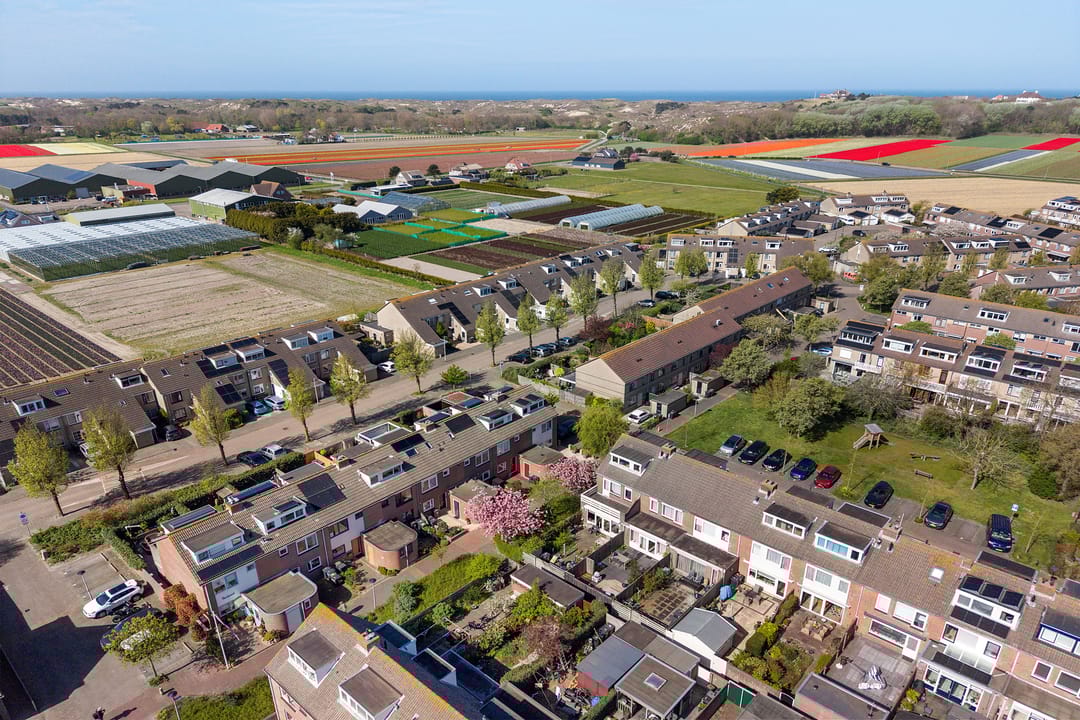 Foto 46 van Bries 29