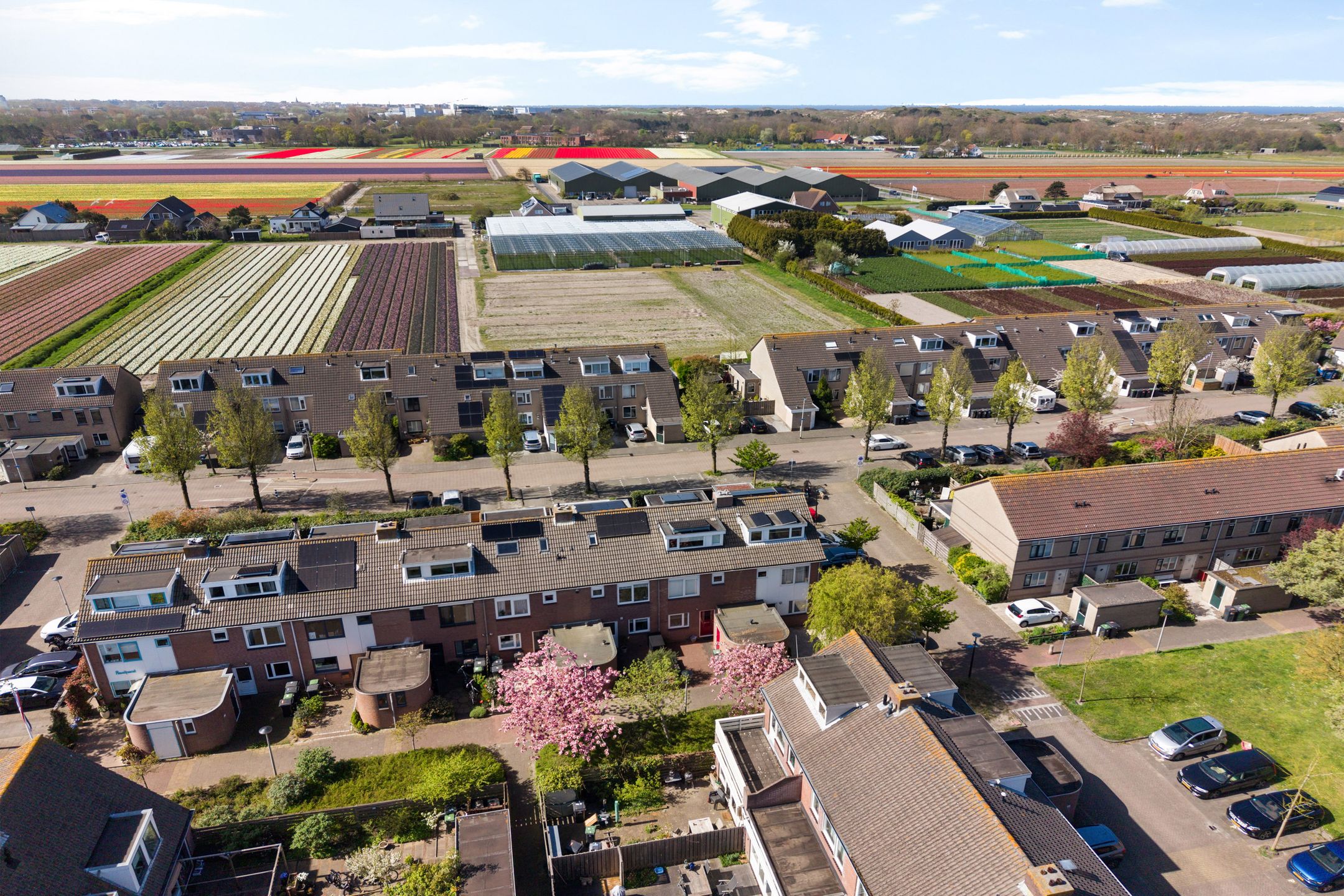 Foto 45 van Bries 29