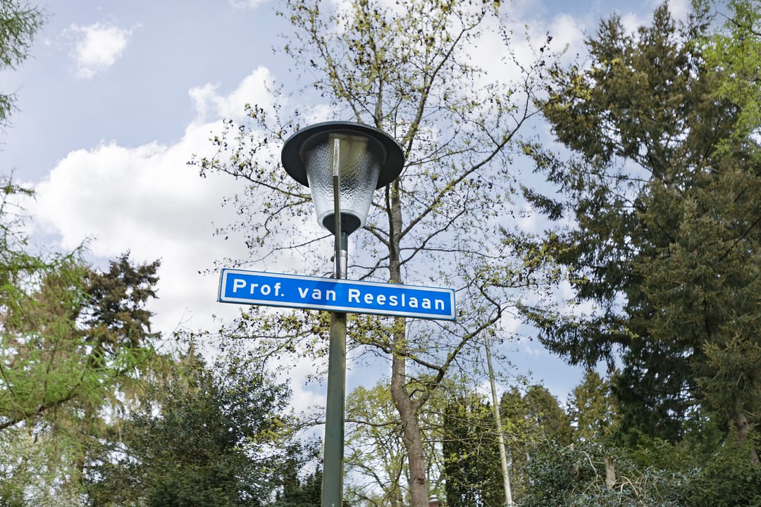 Foto 37 van Professor van Reeslaan 11