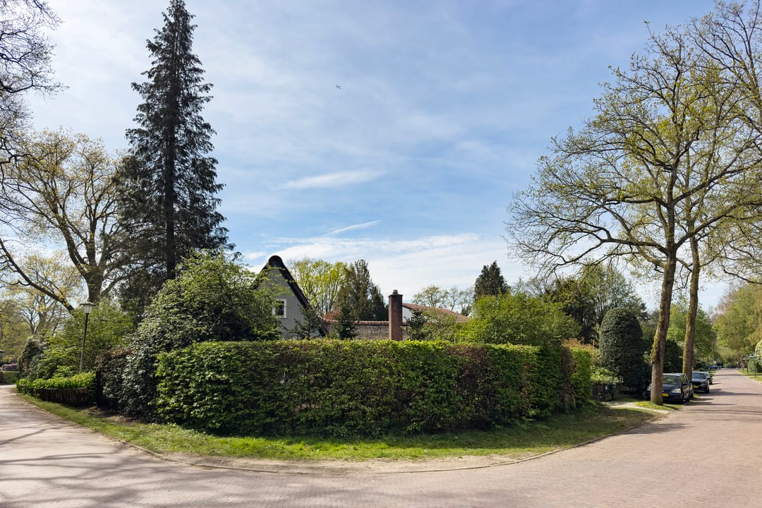 Foto 38 van Professor van Reeslaan 11