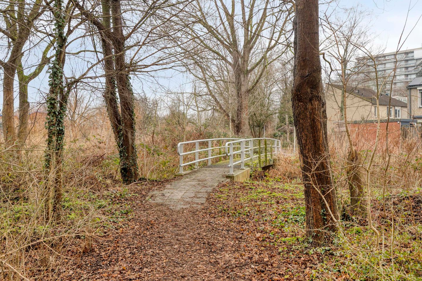 Foto 25 van St. Luciabaai 66