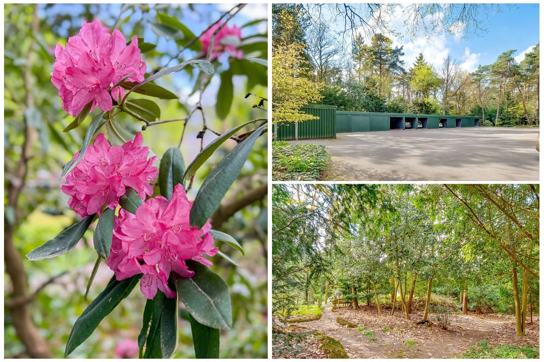 Photo 41 of Hobbemalaan 24-B30