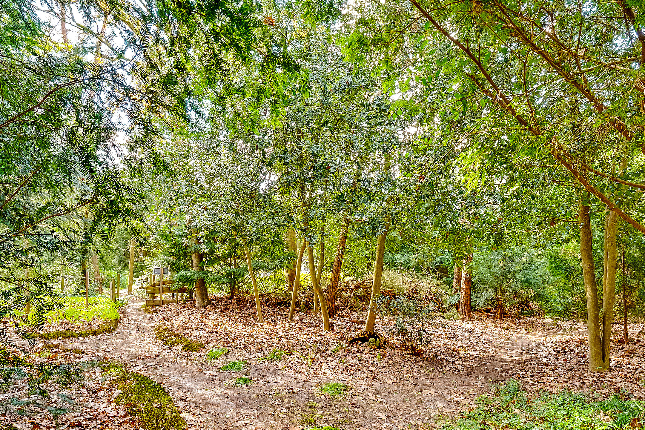 Photo 42 of Hobbemalaan 24-B30