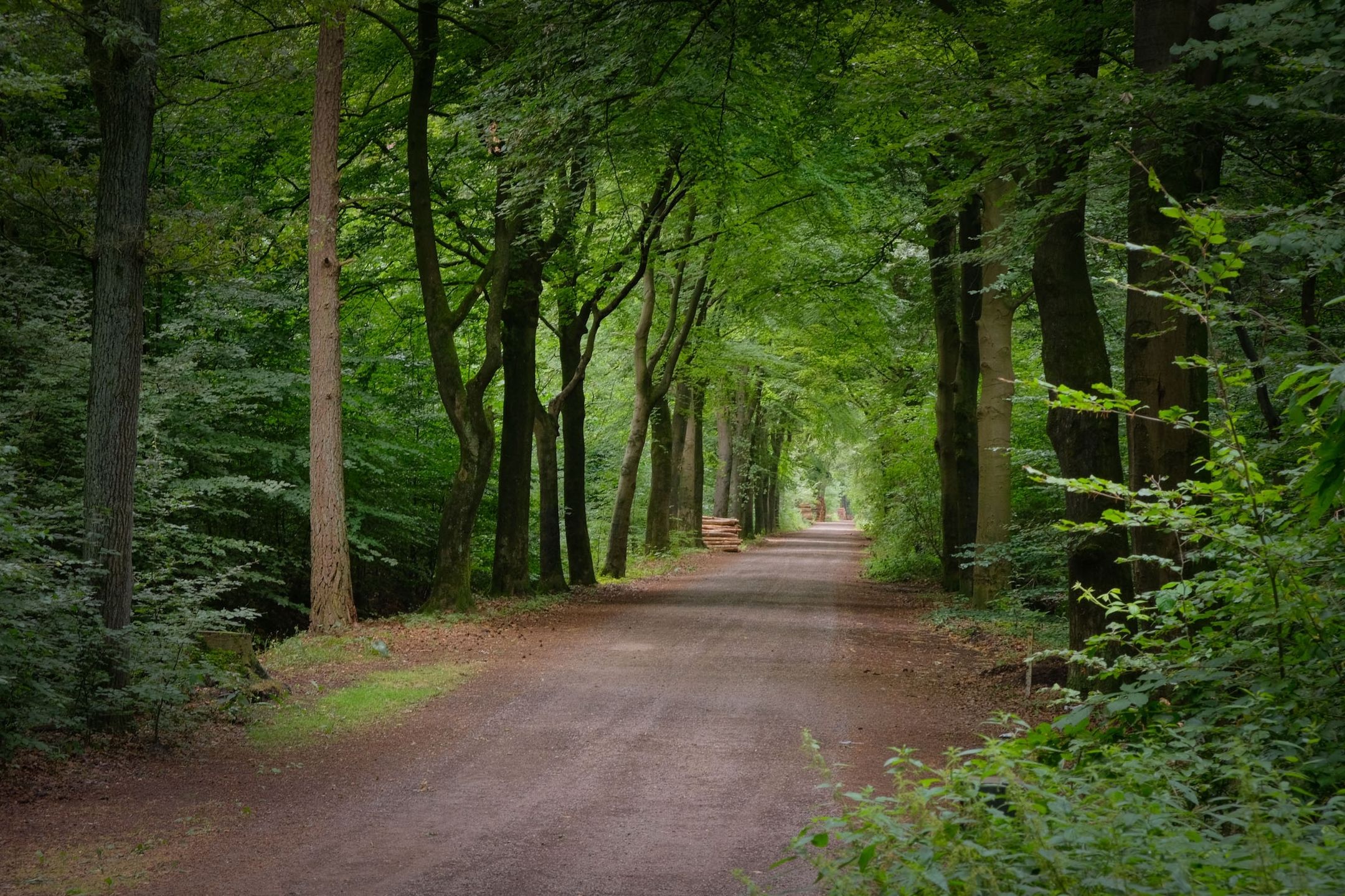 Foto 39 van Palissade 13