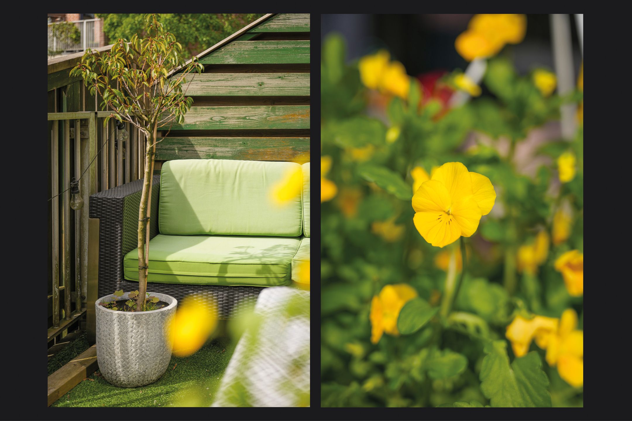 Foto 15 van Albert van Dalsumlaan 703