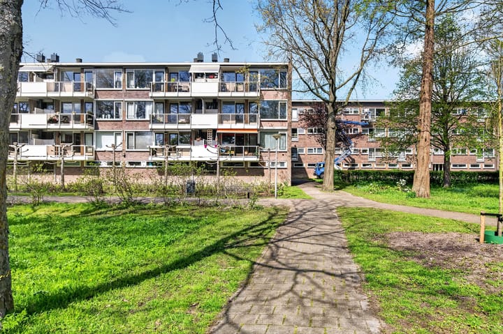 Julianaplantsoen 264