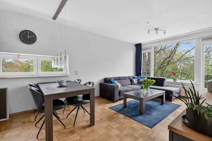 Foto 2 van Julianaplantsoen 264