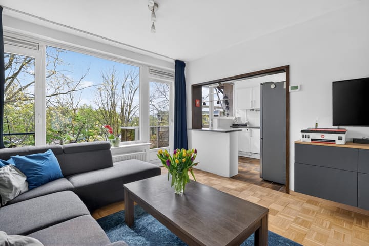 Foto 3 van Julianaplantsoen 264