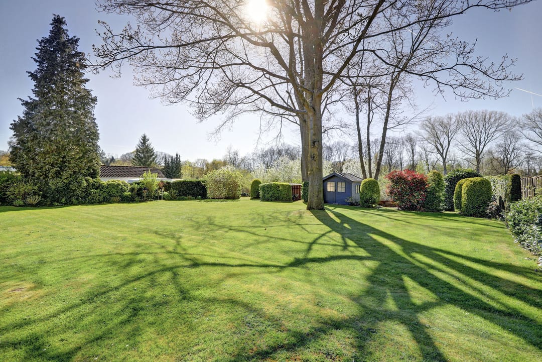 Foto 28 van Maliebaan 25