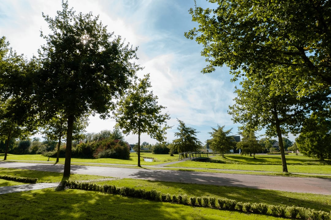 Foto 16 van Vredeman de Vrieslaan 68