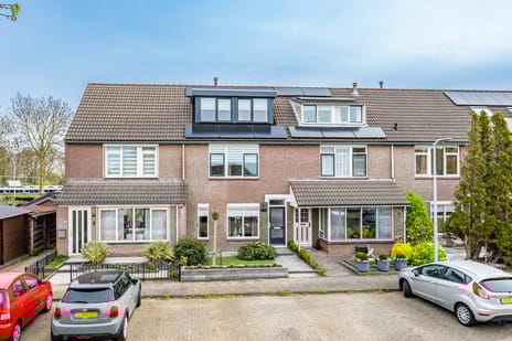 Dopheidestraat thumbnail