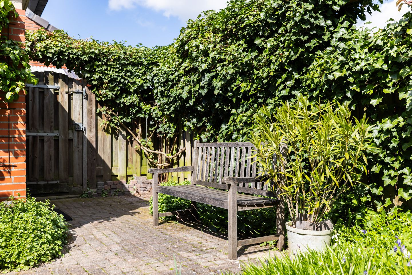 Foto 34 van Jan van Scorelhage 6