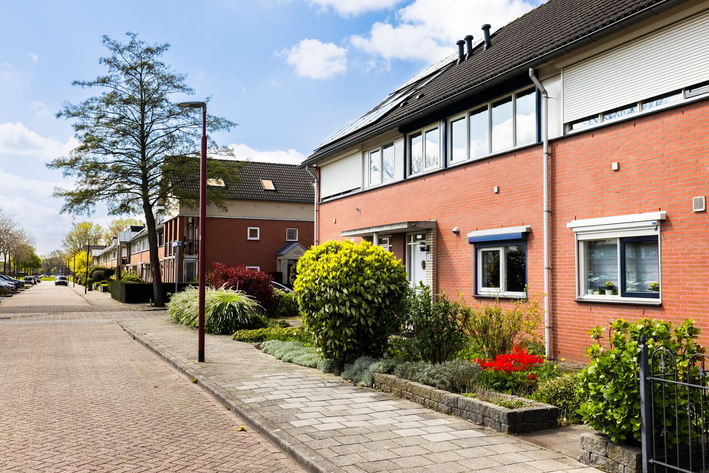 Foto 40 van Jan van Scorelhage 6