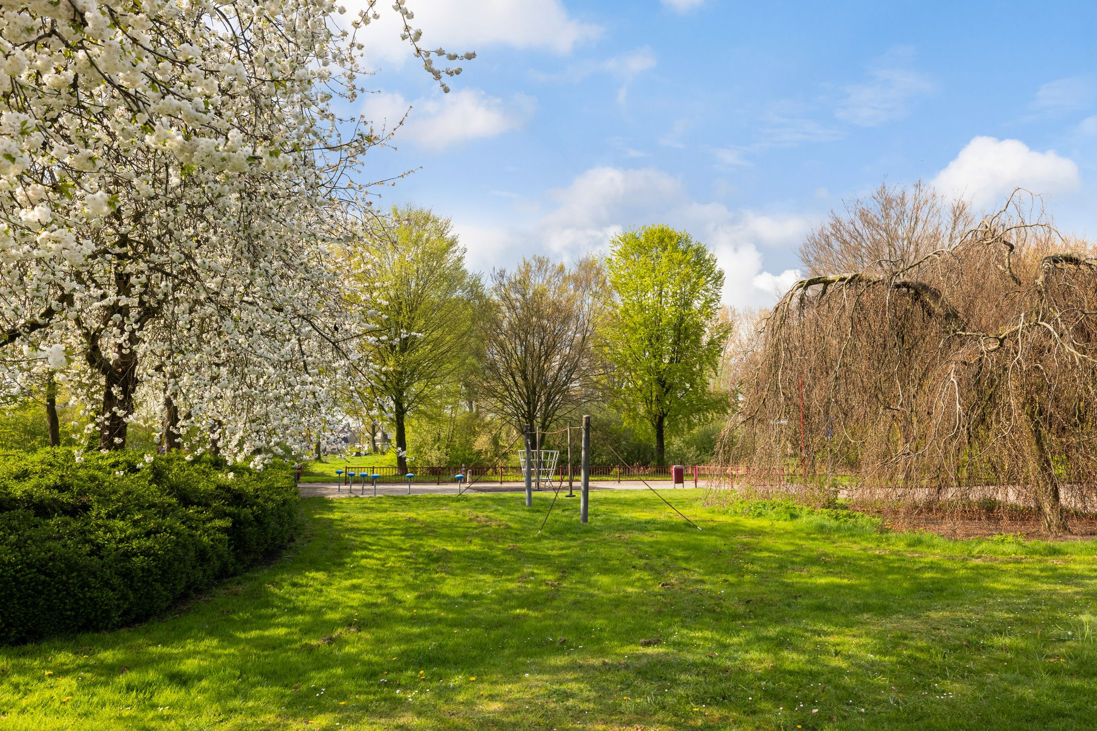 Foto 42 van Jan van Scorelhage 6