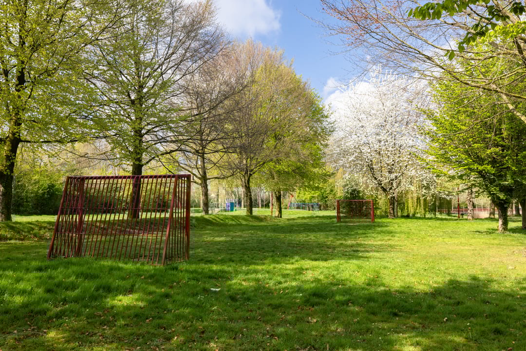 Foto 46 van Jan van Scorelhage 6