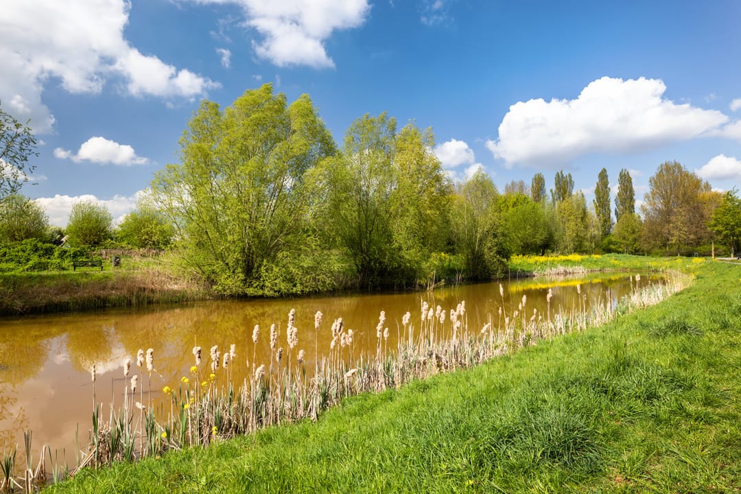 Foto 47 van Jan van Scorelhage 6