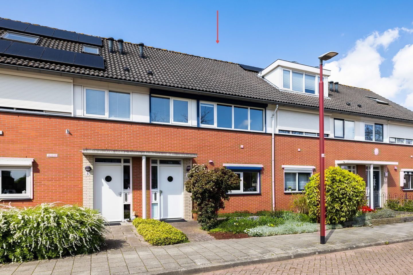 Foto 5 van Jan van Scorelhage 6