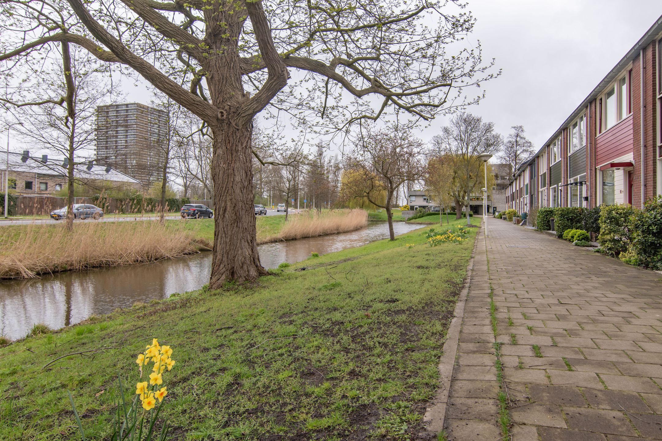 Foto 42 van Douzapad 12