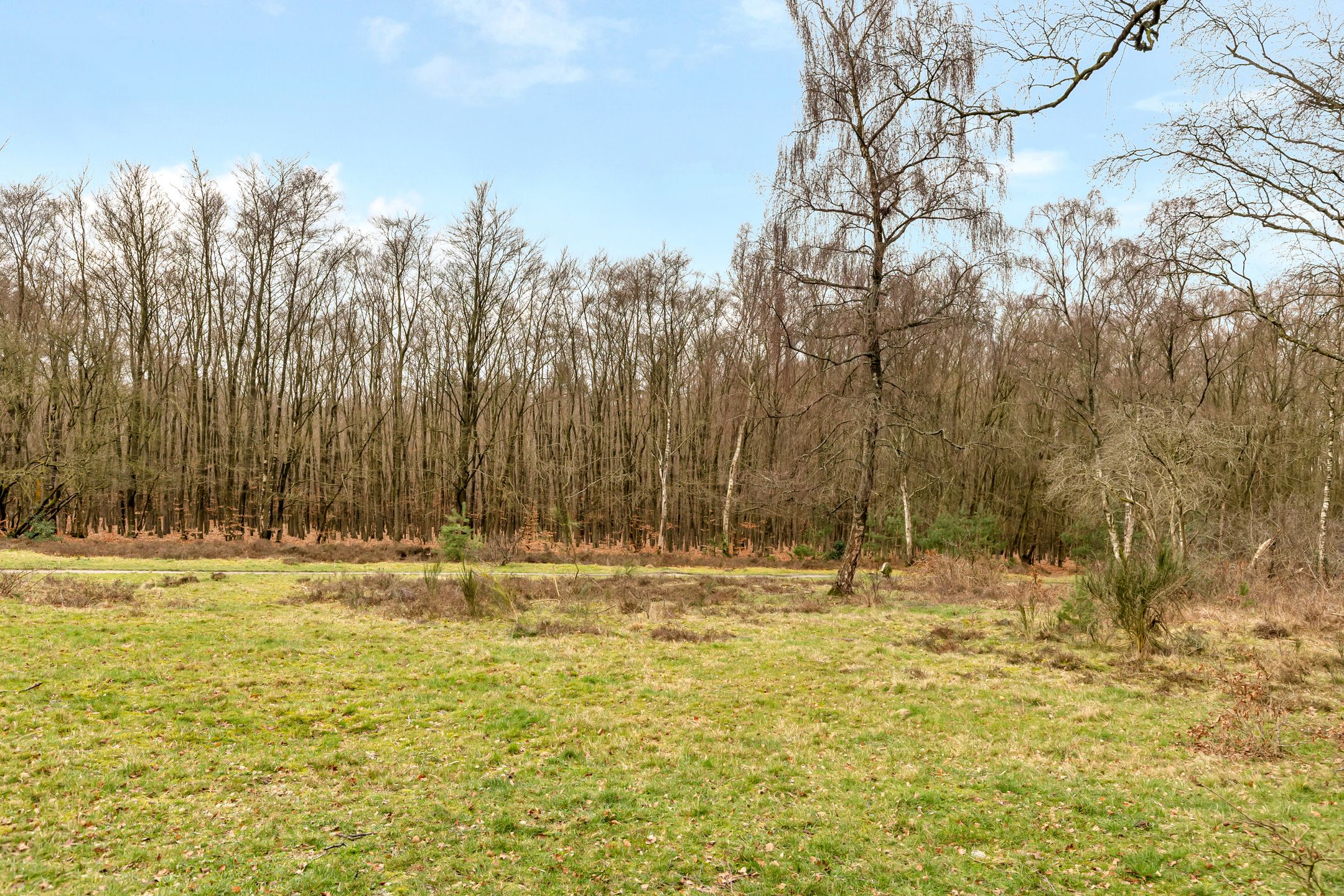 Photo 24 of Van Almondelaan 20