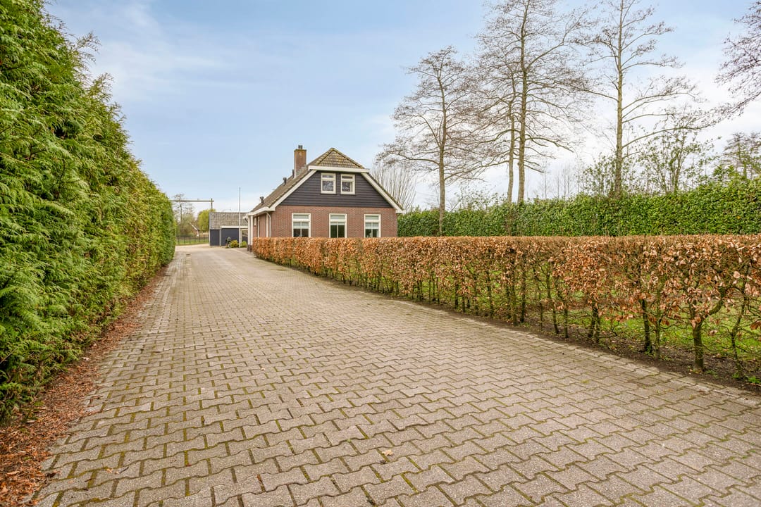 Foto 8 van Domstraat 56