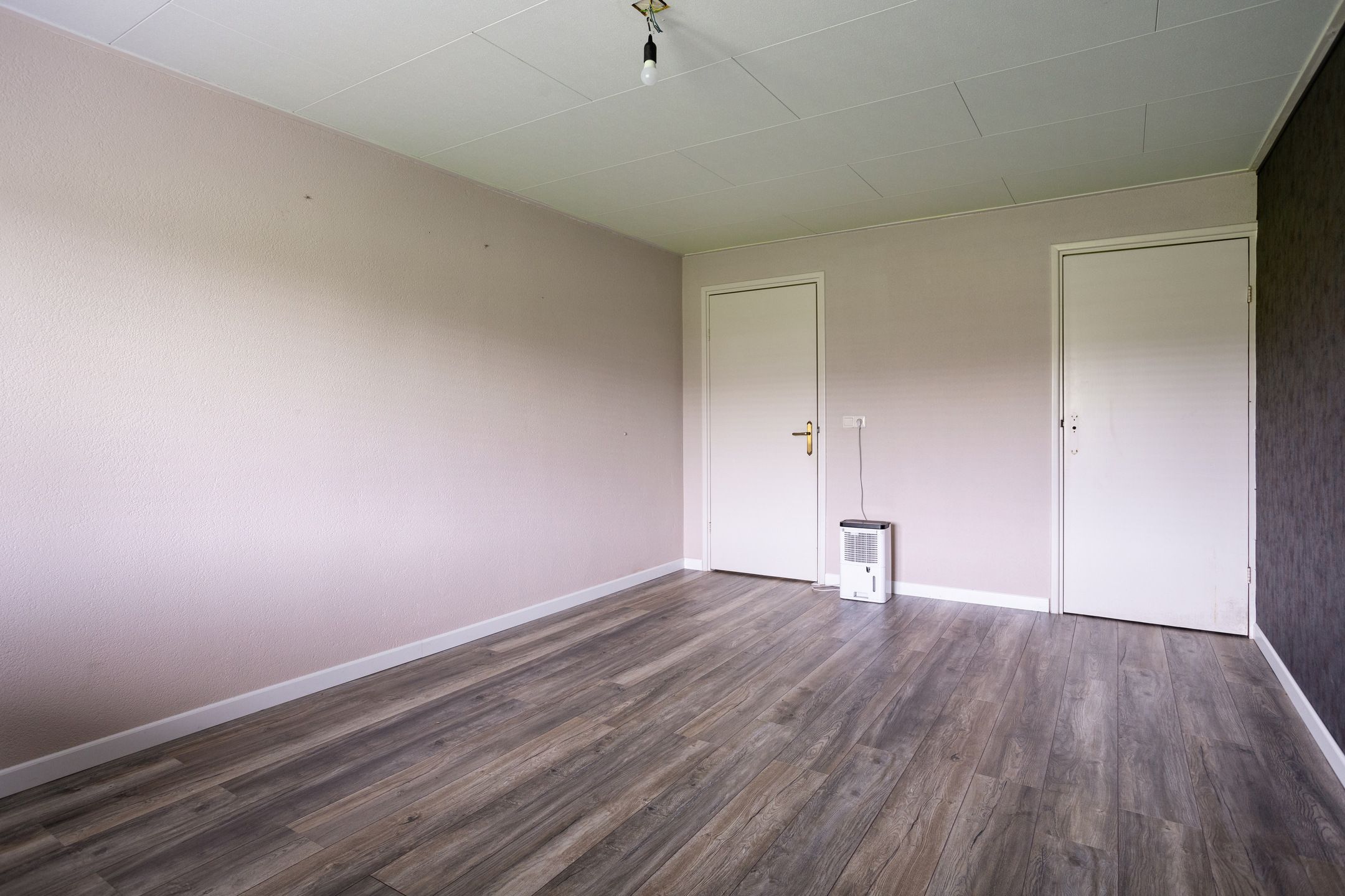 Foto 54 van Domstraat 56