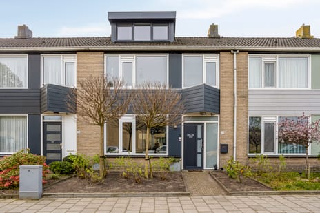 Noorderlaan thumbnail