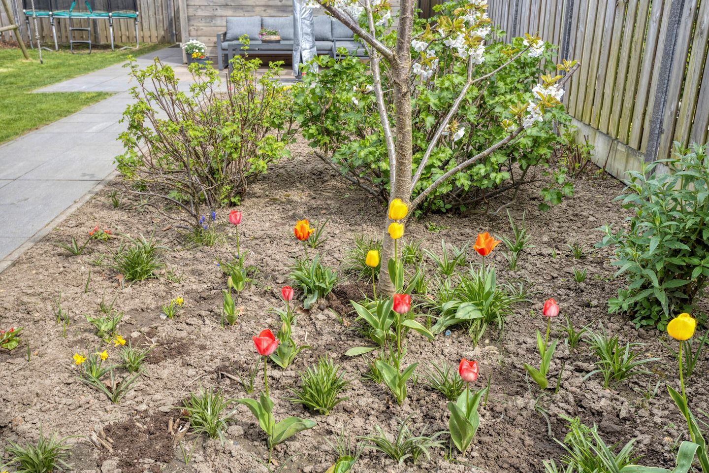 Photo 44 of Dieterderweg 74