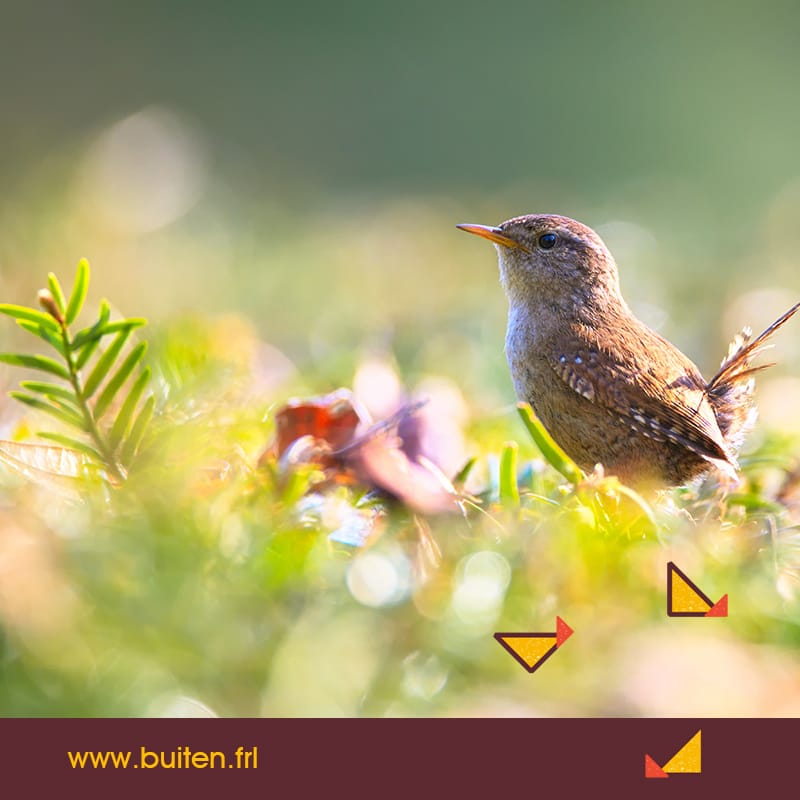 Foto 50 van Laagduurswoude 18