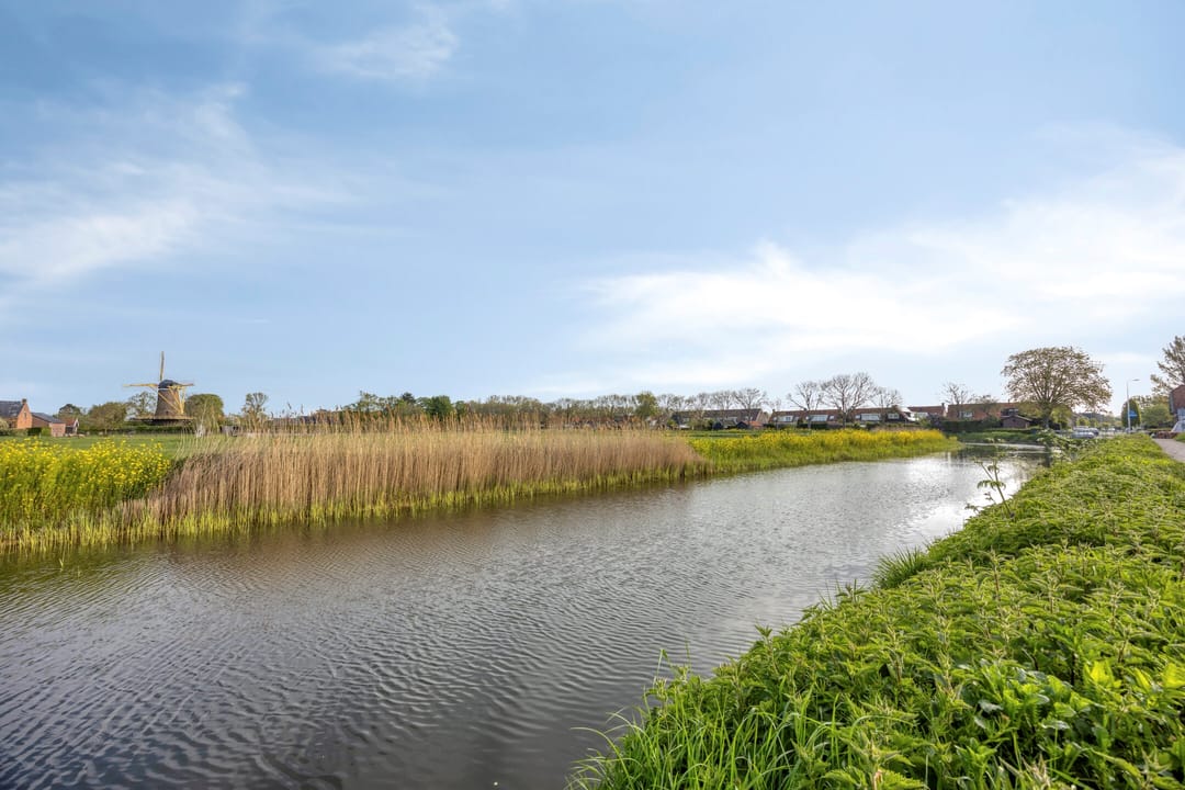 Photo 52 of Bloemendaal 1