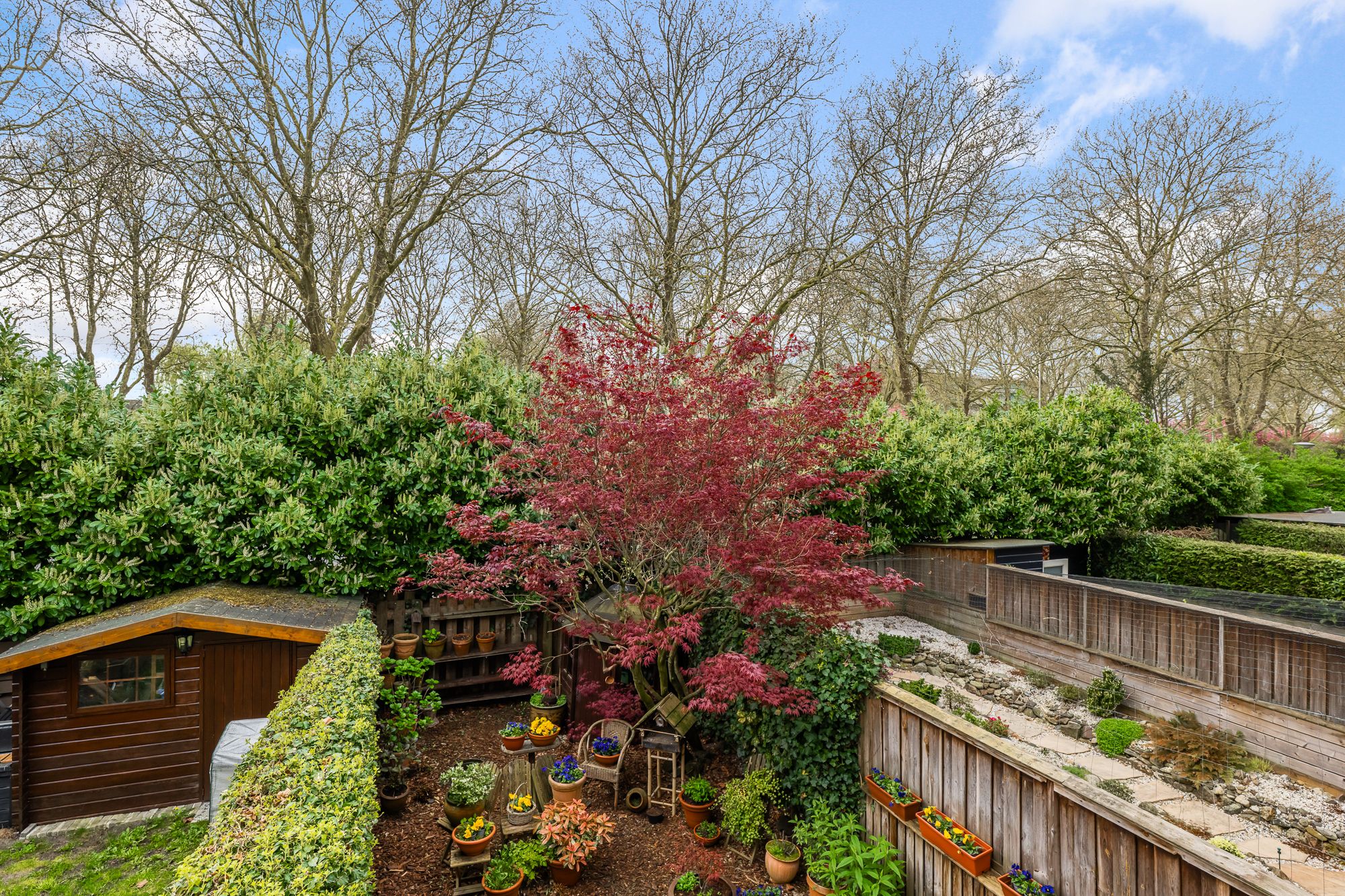 Foto 21 van Obrechthof 26