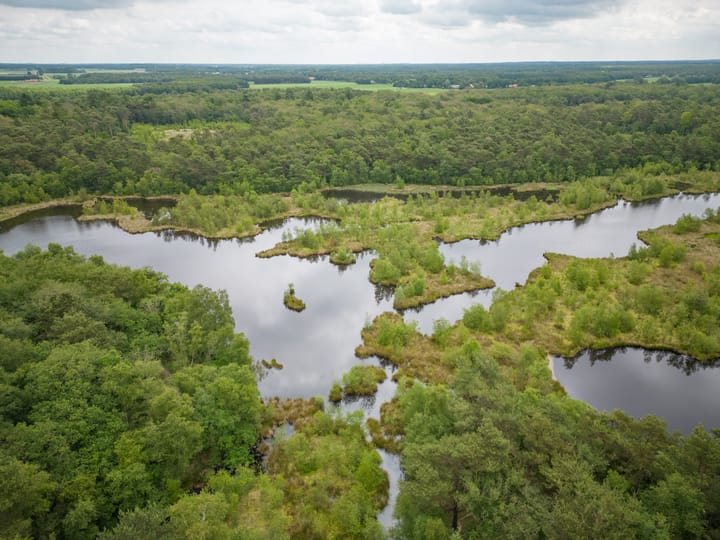 Foto 3 van Laagduurswoude 18