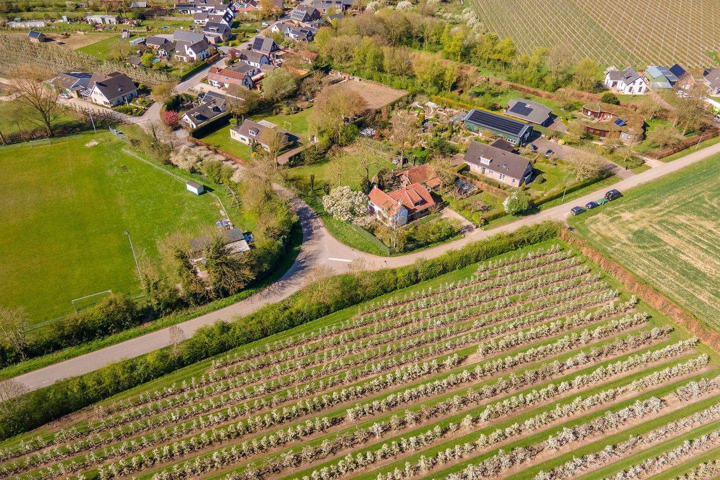 Photo 100 of Woerd 2