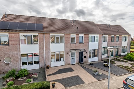 Kamillekamp thumbnail