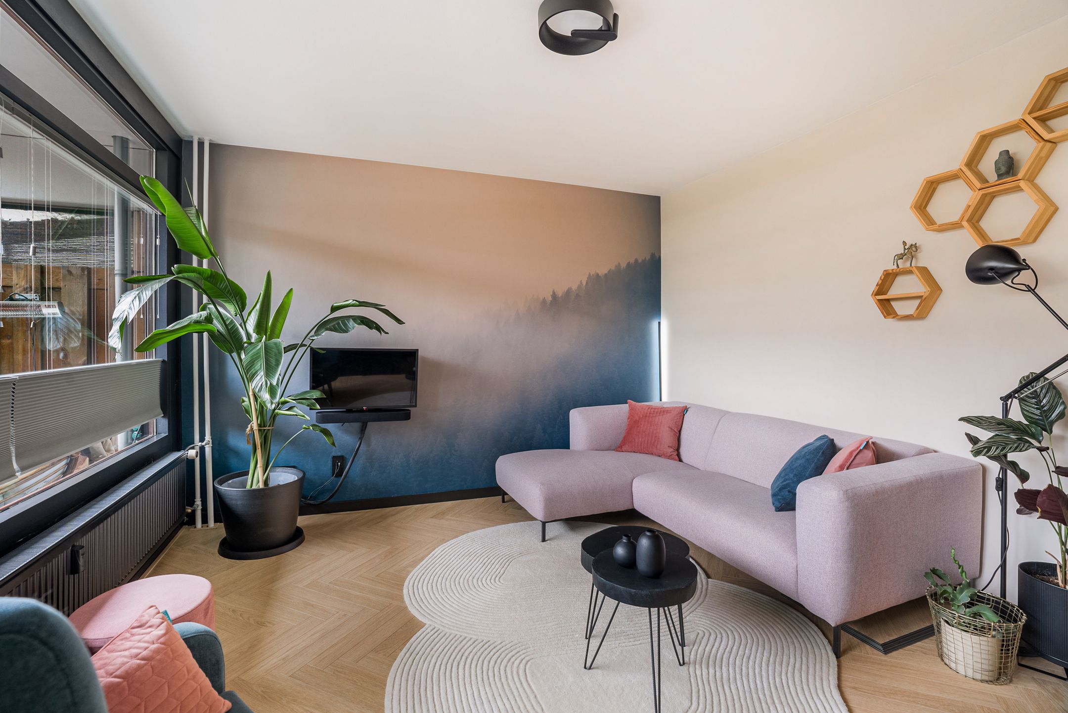 Foto 3 van Denijsstraat 193