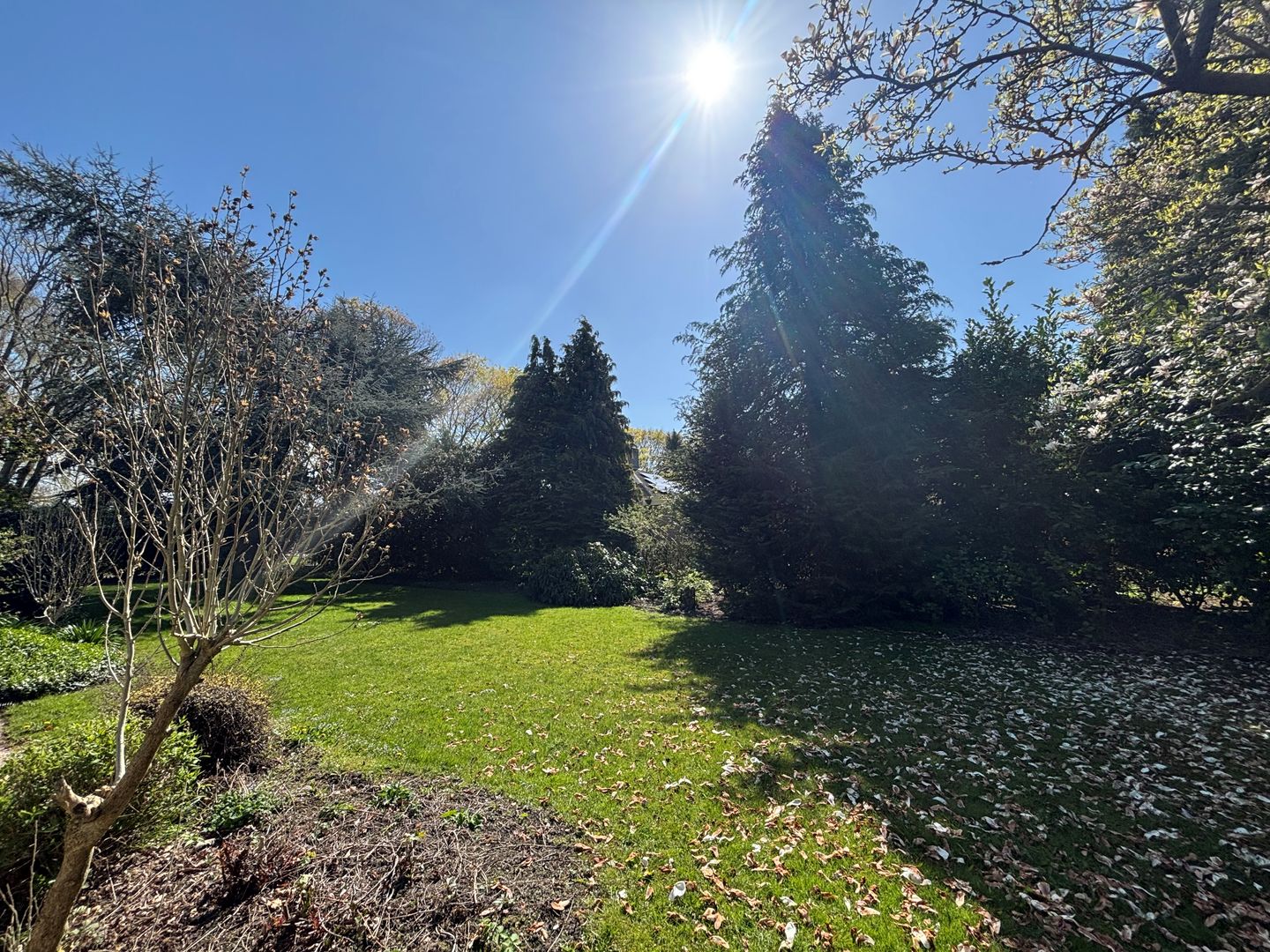 Foto 19 van Plein Almere 19