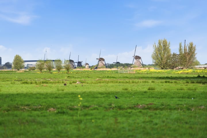 Foto 2 van Ratelaar 15