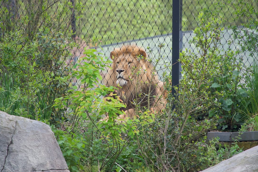 Foto 67 van Geschutswerf 33