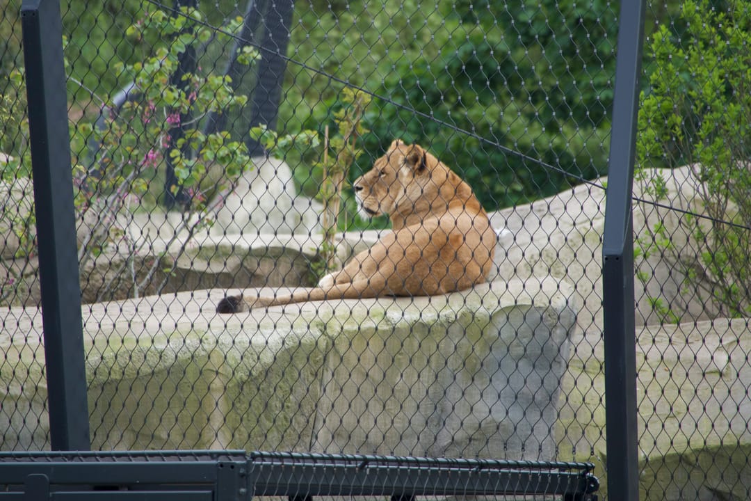 Foto 68 van Geschutswerf 33