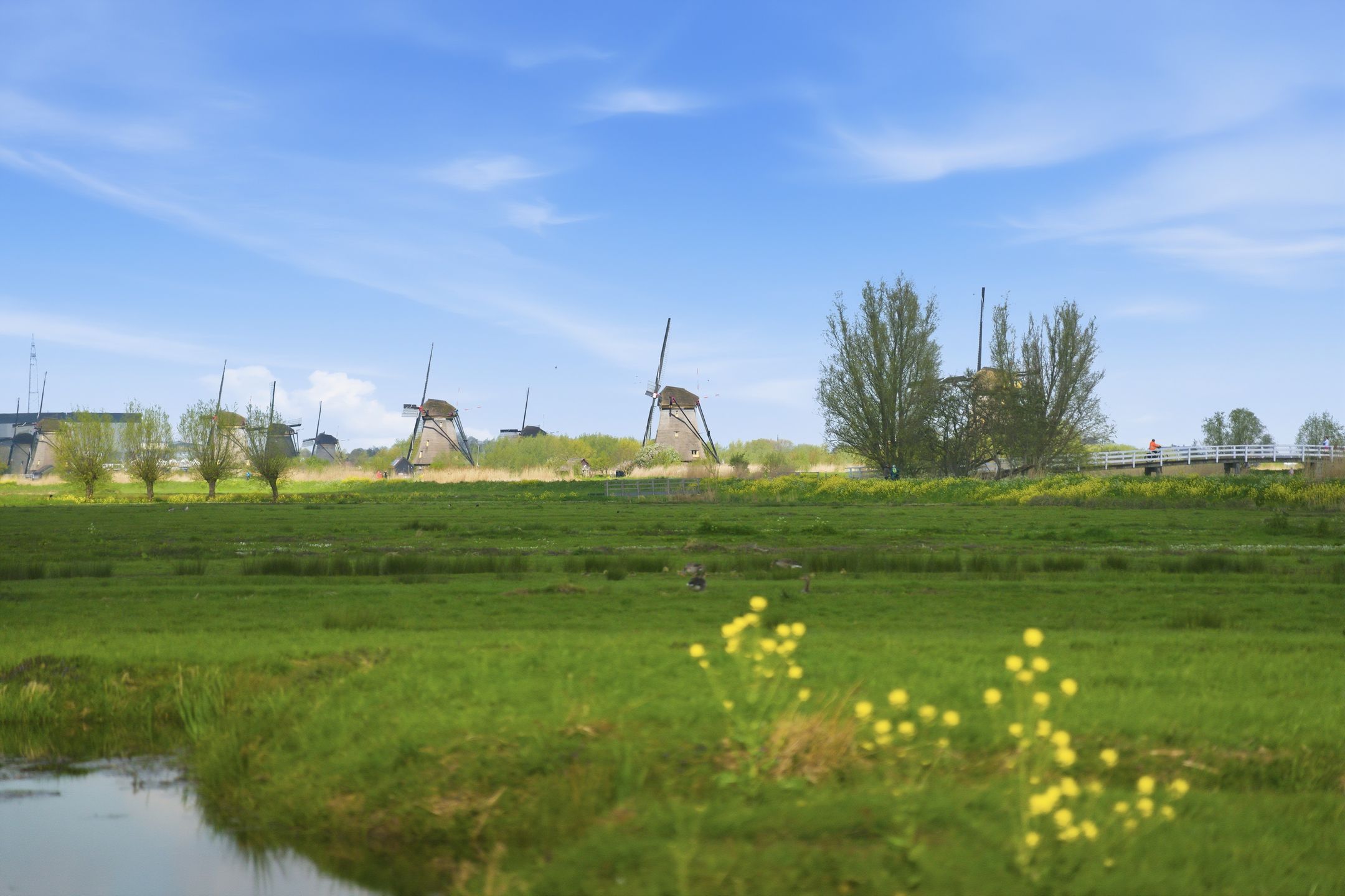 Foto 57 van Ratelaar 15