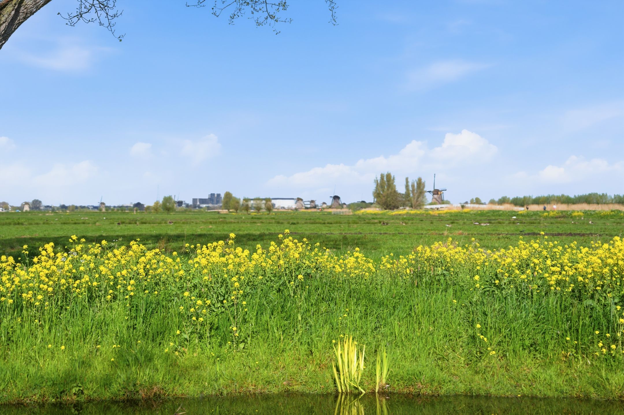 Foto 60 van Ratelaar 15