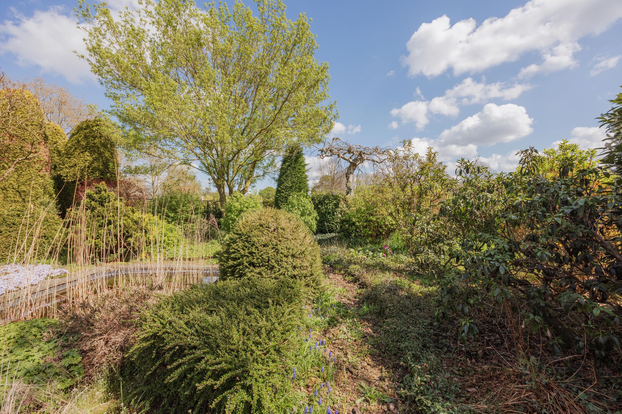 Foto 51 van Luiten Ambachtstraat 36-A