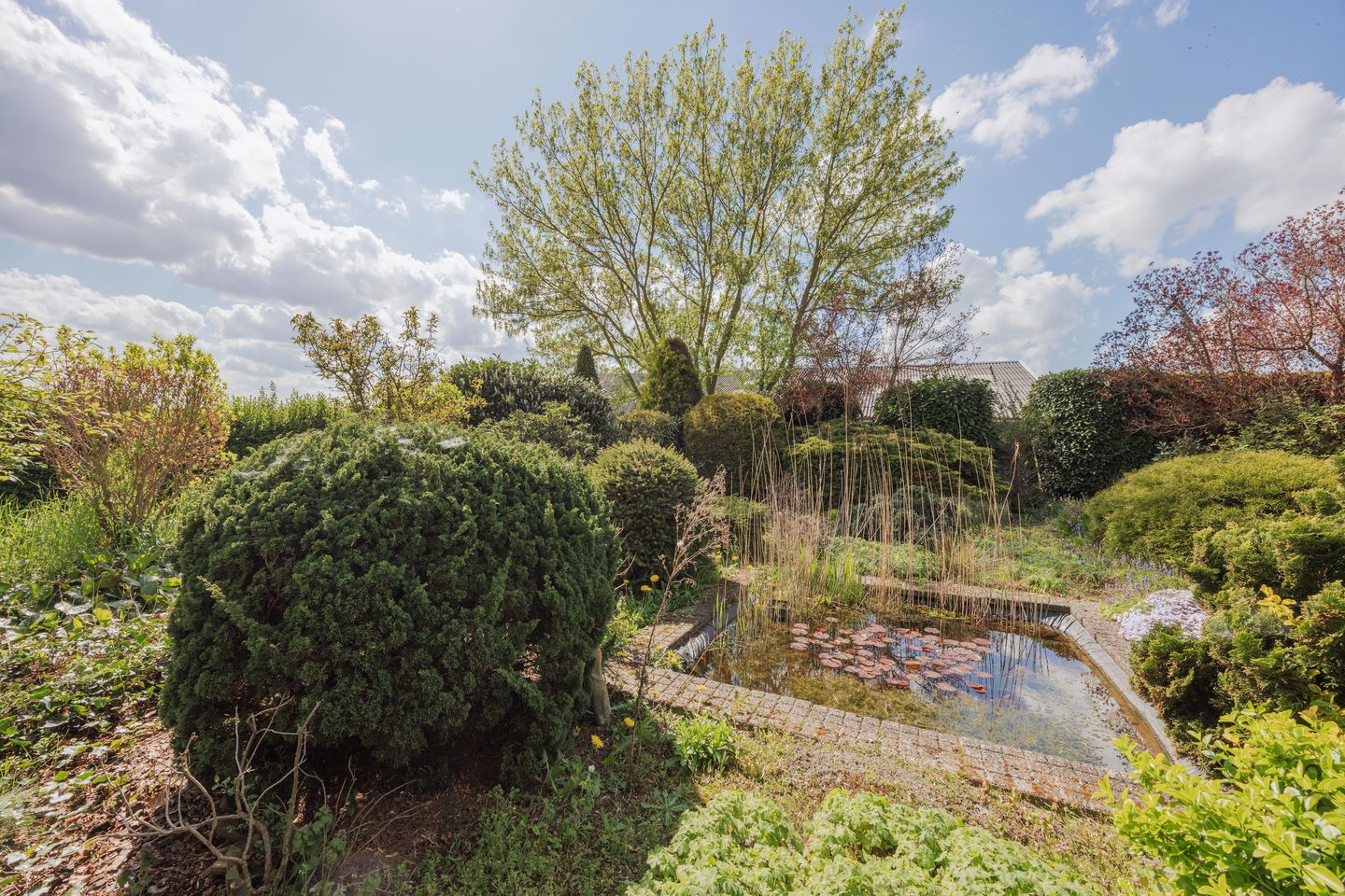 Foto 49 van Luiten Ambachtstraat 36-A